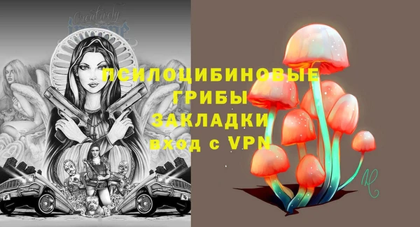 индика Красноперекопск