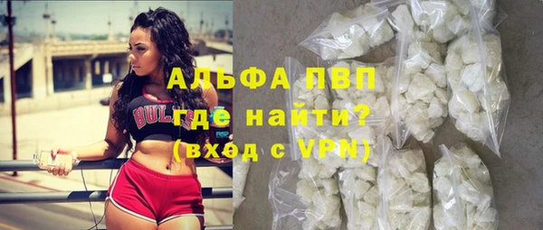 индика Красноперекопск